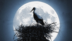 unborn_featured unborn_featured